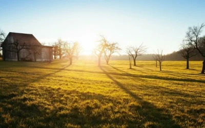 Castilla y León y la compraventa de fincas rústicas