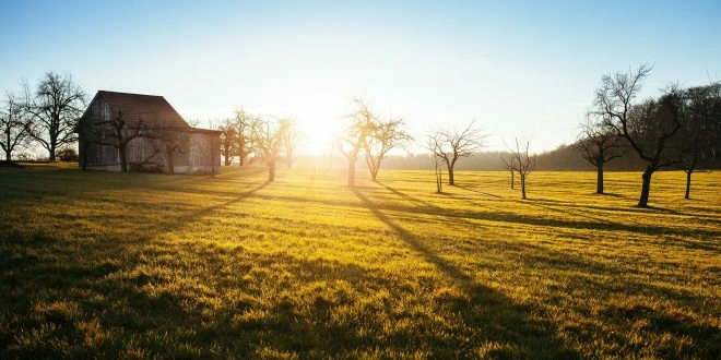 Castilla y León y la compraventa de fincas rústicas