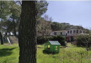 Tordeval Inmobiliaria | FINCA RUSTICA EN VILLAMARCIEL