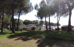 Tordeval Inmobiliaria | FINCA RUSTICA EN VILLAMARCIEL