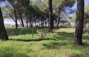 Tordeval Inmobiliaria | FINCA RUSTICA EN VILLAMARCIEL