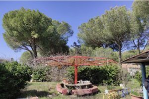 Tordeval Inmobiliaria | FINCA RUSTICA EN VILLAMARCIEL