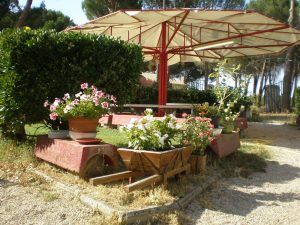 Tordeval Inmobiliaria | FINCA RUSTICA EN VILLAMARCIEL