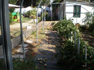Tordeval Inmobiliaria | FINCA RUSTICA EN VILLAMARCIEL