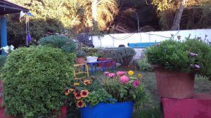 Tordeval Inmobiliaria | FINCA RUSTICA EN VILLAMARCIEL