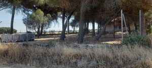 Tordeval Inmobiliaria | FINCA RUSTICA EN VILLAMARCIEL