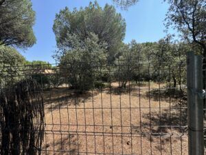 Tordeval Inmobiliaria | PARCELA EN EL MONTICO