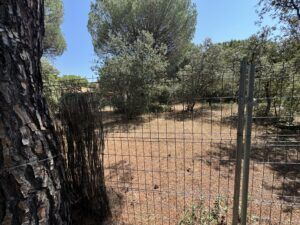Tordeval Inmobiliaria | PARCELA EN EL MONTICO