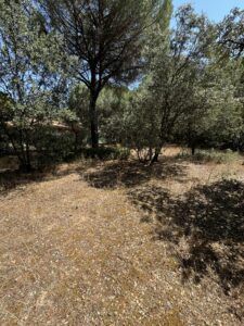 Tordeval Inmobiliaria | PARCELA EN EL MONTICO
