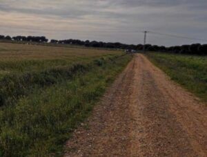 Tordeval Inmobiliaria | Terreno Rustico