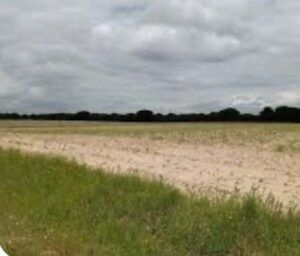 Tordeval Inmobiliaria | Terreno Rustico
